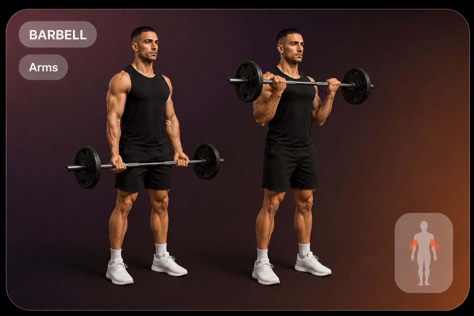 Barbell Curl