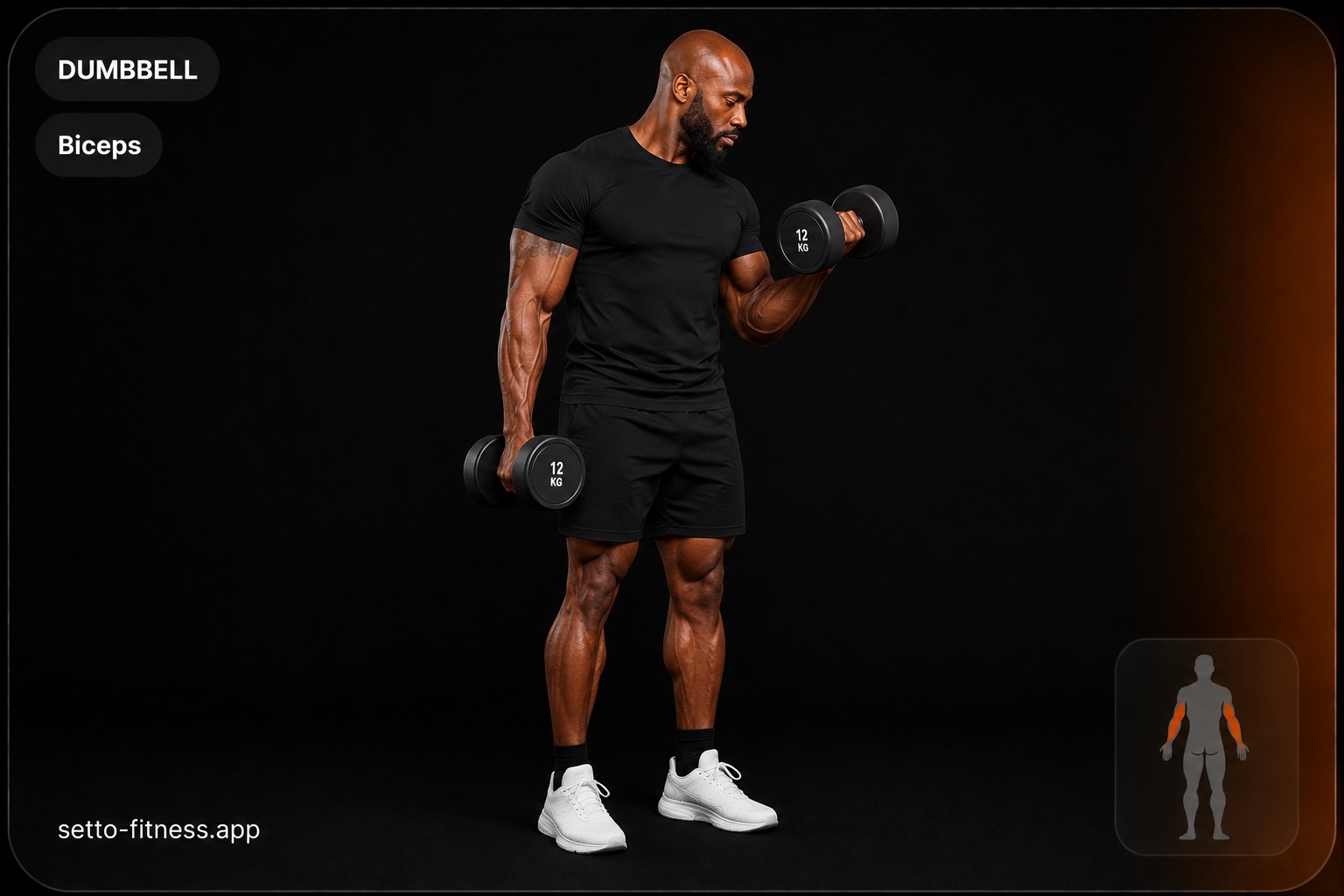 Dumbbell Curl