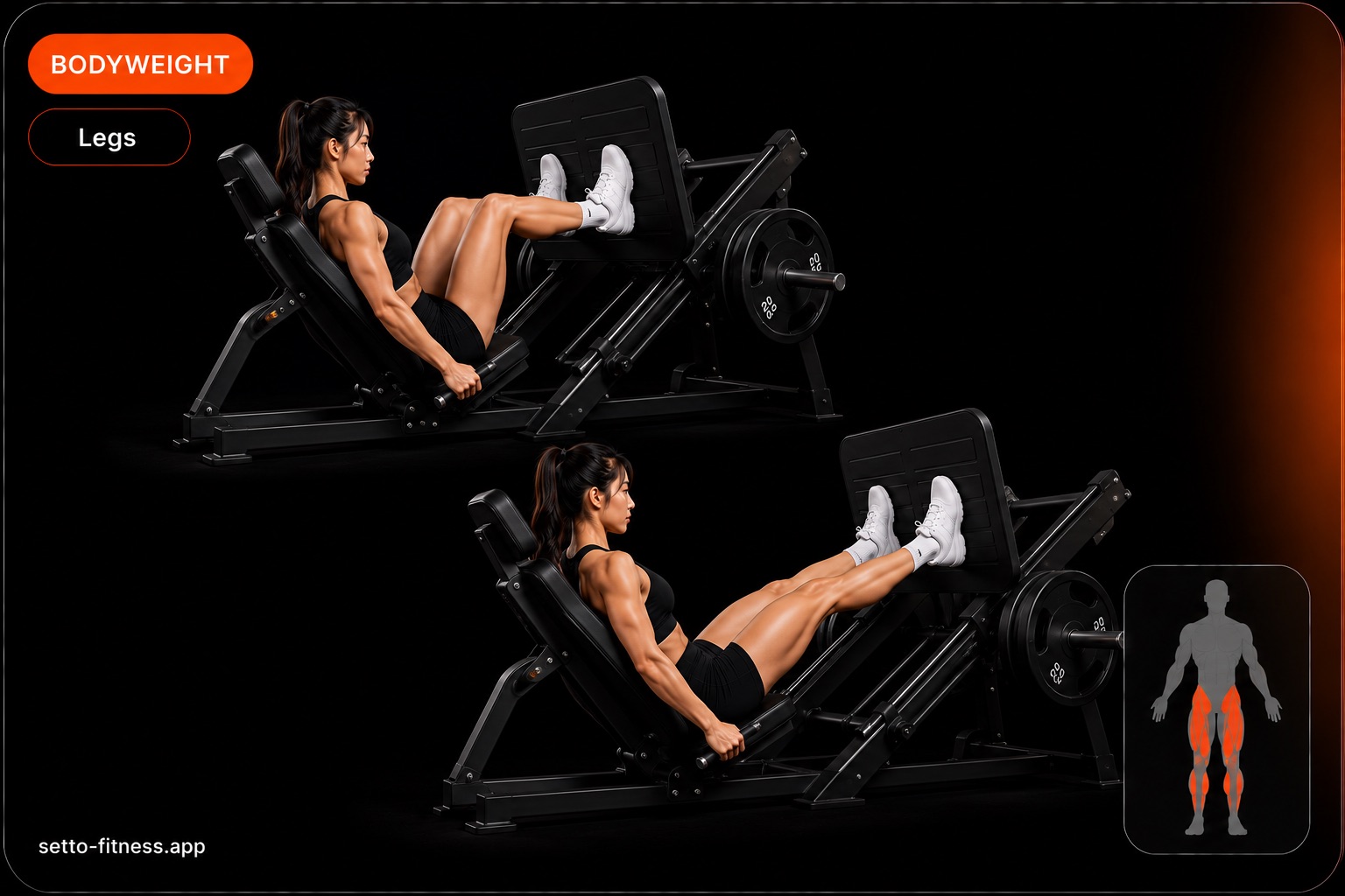 Leg Press