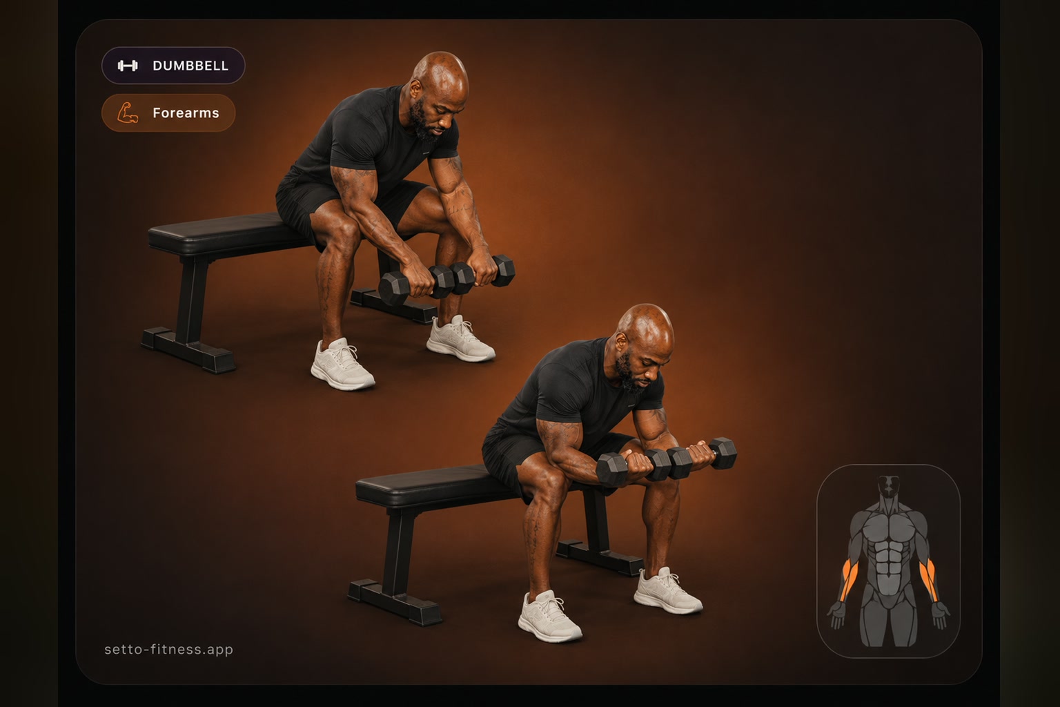 Reverse Wrist Curl
