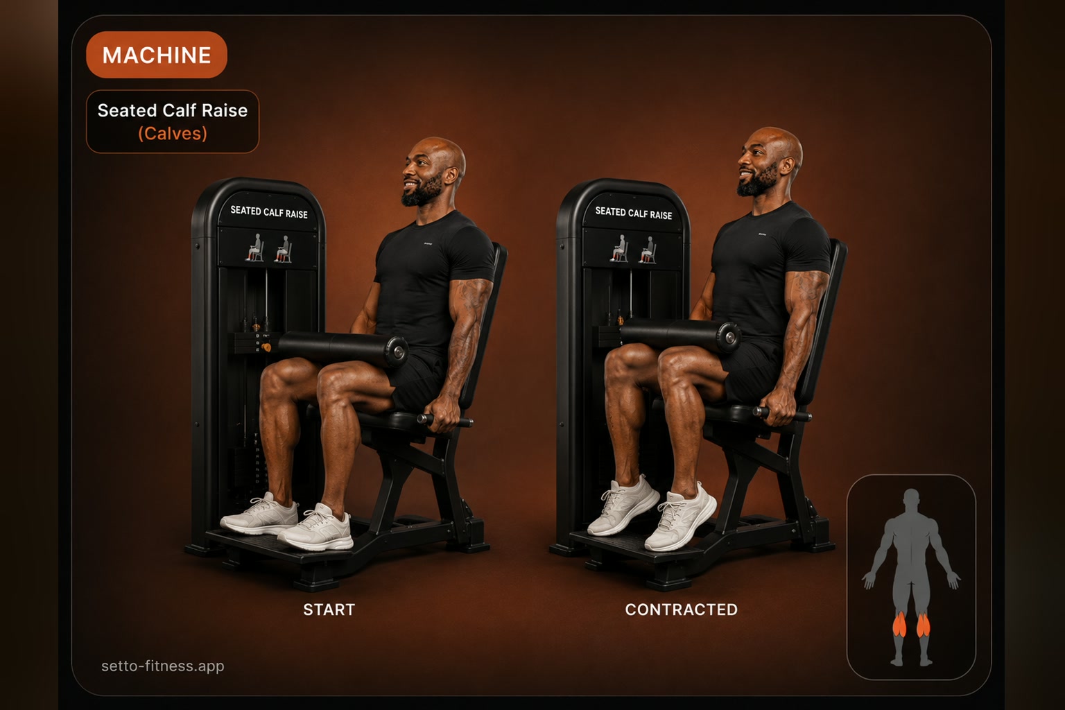 Seated Calf Raise