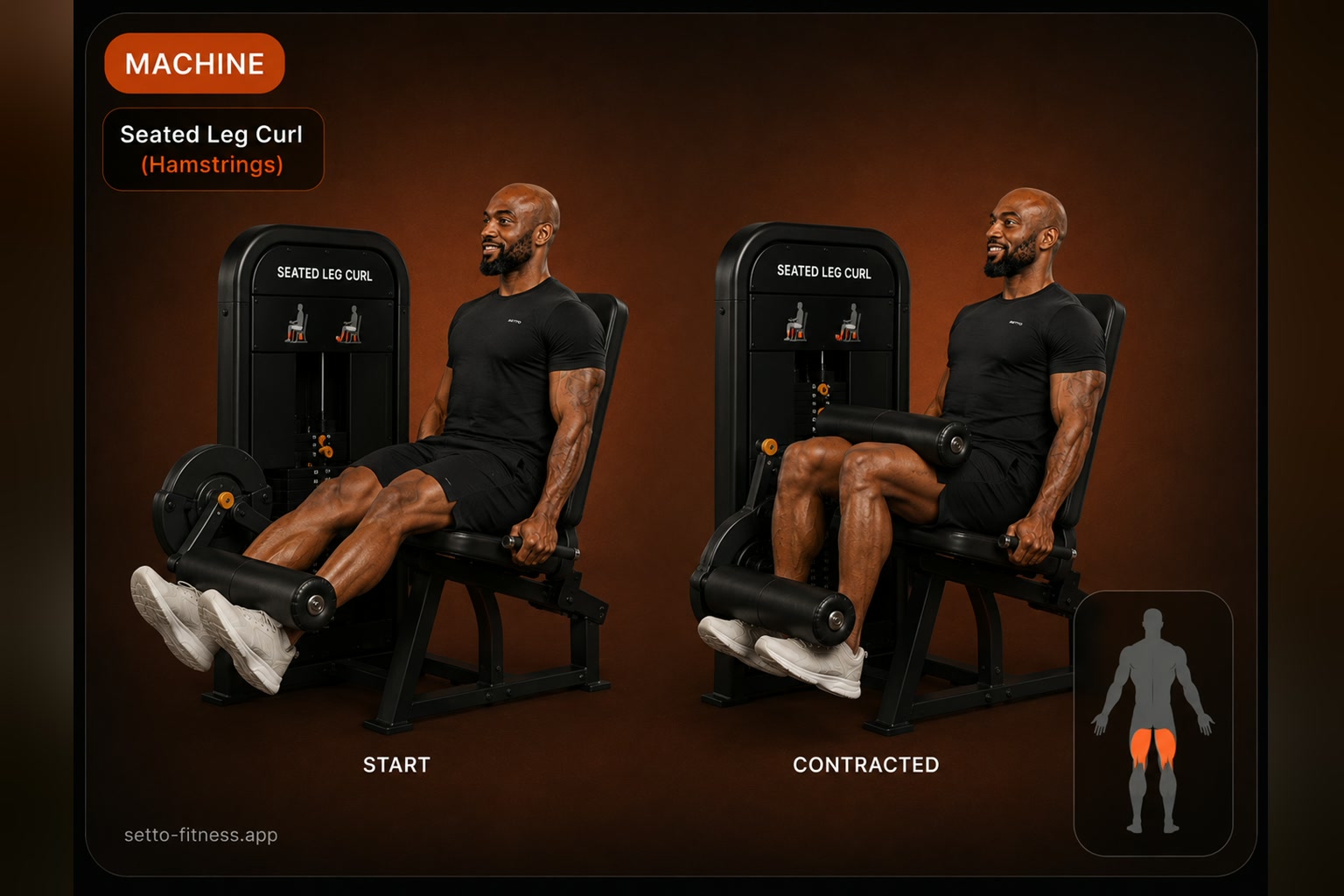 Seated Leg Curl