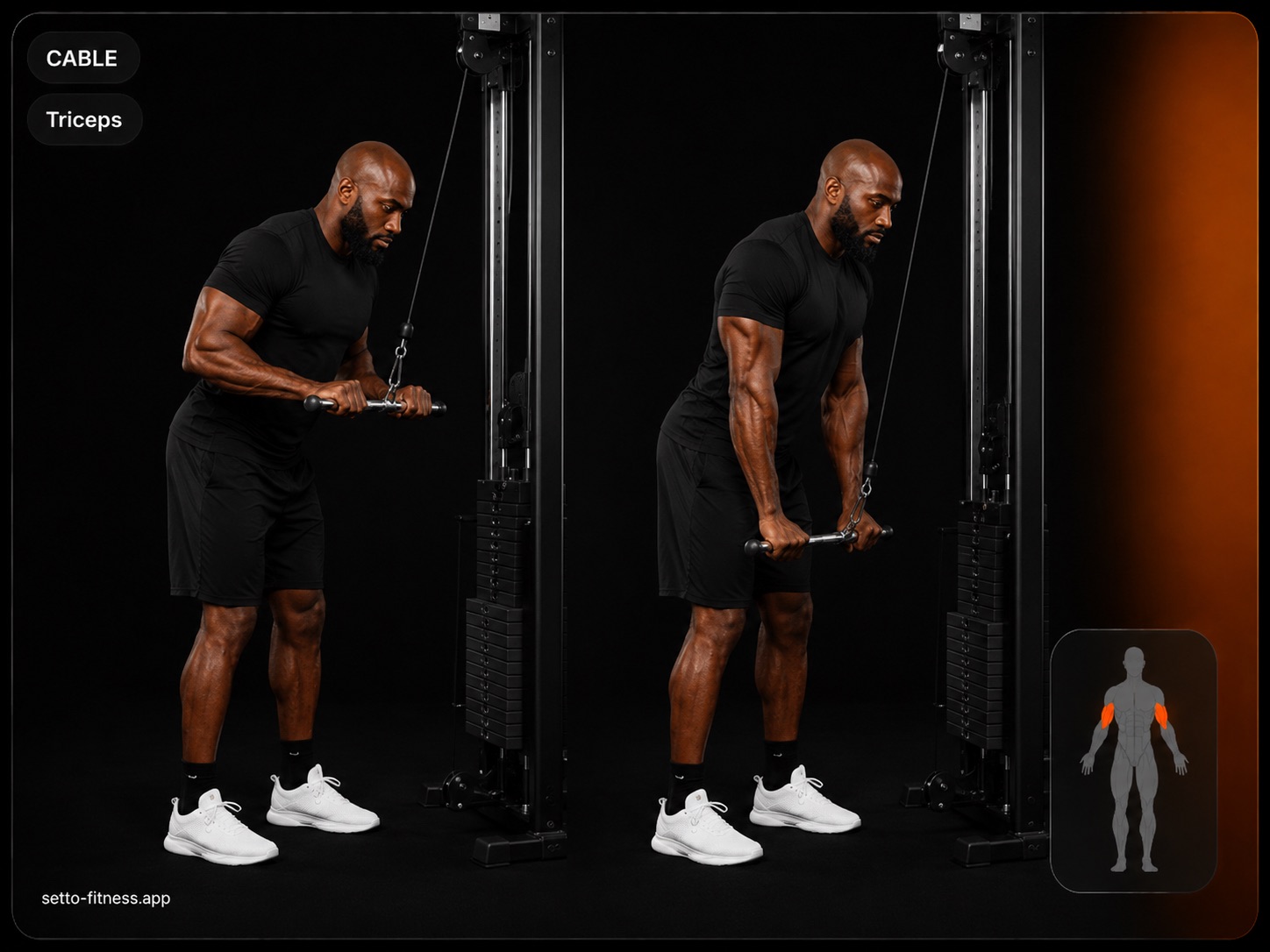 Triceps Pushdown